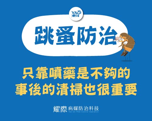 工廠有跳蚤 ! 野貓野狗引跳蚤01跳蚤防治噴藥+清掃都要做